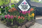 15-Singapore - Botanic Gardens